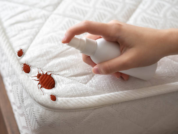 Best Residential Pest Control  in Jonesville, NC